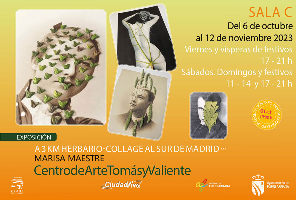 Exposición ‘A 3 km Herbario-Collage al Sur de Madrid’ de Marisa Maestre