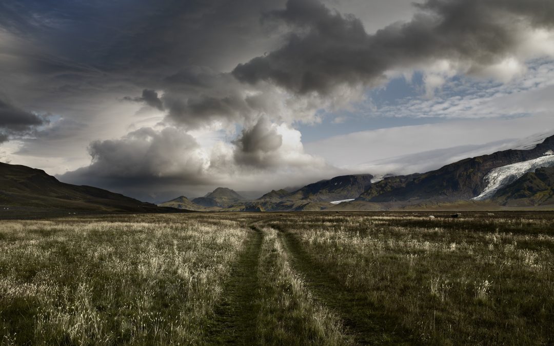 Exposición: Landscape. The Eternal Return (Paisaje. El eterno retorno)